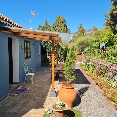 Puntagorda Casa Rosales With Pool & Wifi 빌라 외부 사진