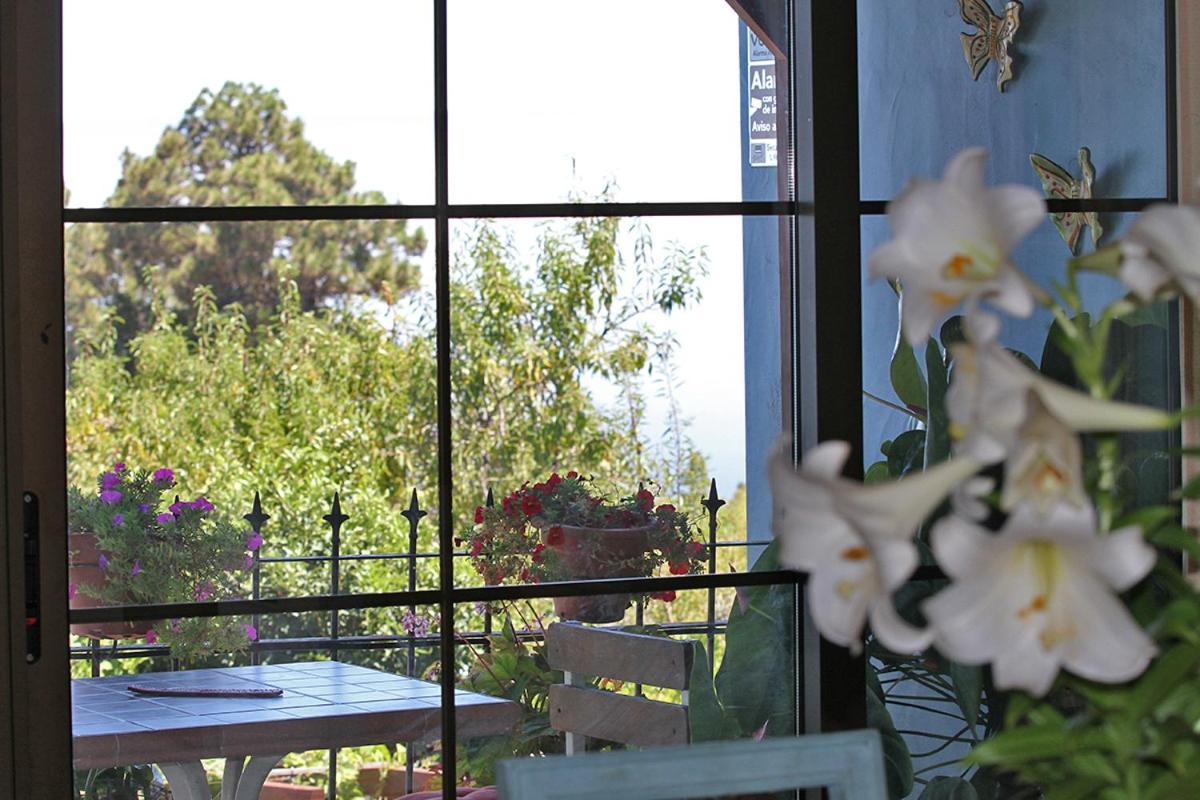 Puntagorda Casa Rosales With Pool & Wifi 빌라 외부 사진
