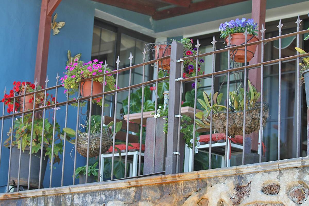Puntagorda Casa Rosales With Pool & Wifi 빌라 외부 사진