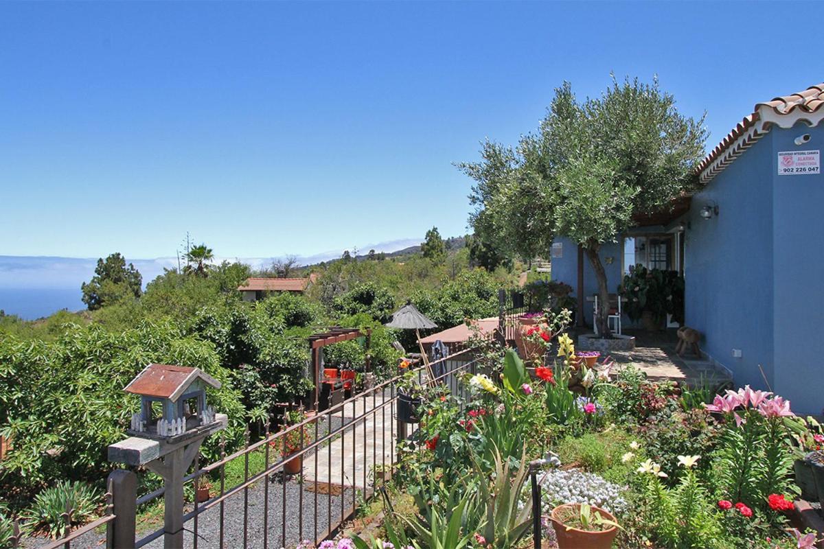 Puntagorda Casa Rosales With Pool & Wifi 빌라 외부 사진