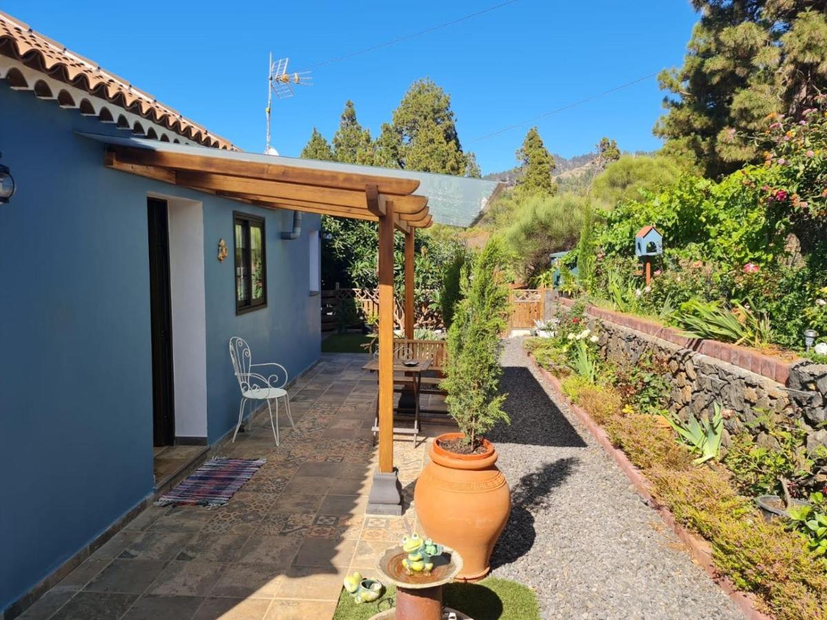 Puntagorda Casa Rosales With Pool & Wifi 빌라 외부 사진