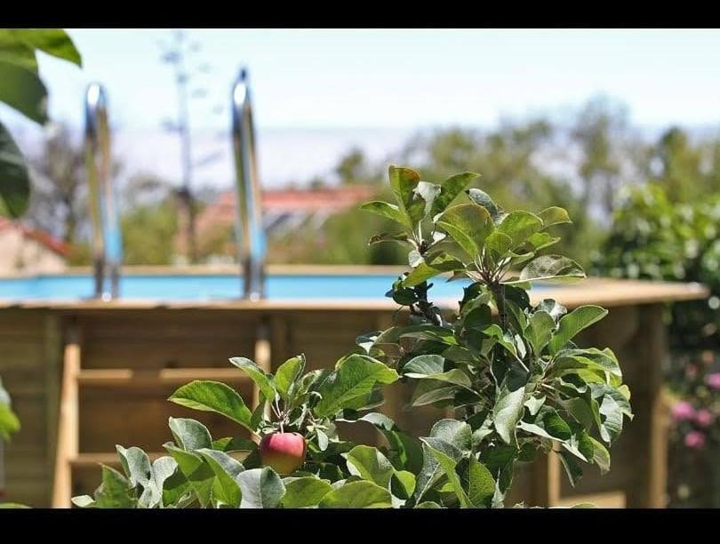 Puntagorda Casa Rosales With Pool & Wifi 빌라 외부 사진